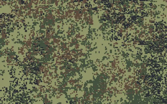 EMR Regular camouflage